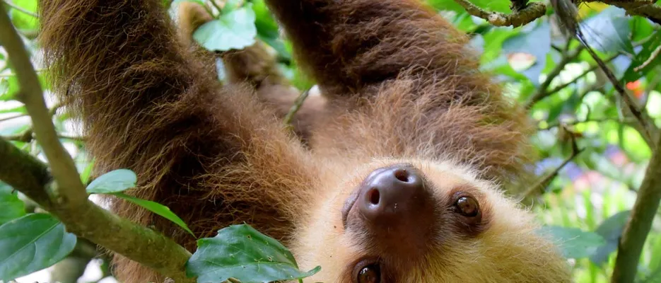 Ecotourism in Costa Rica