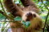 Ecotourism in Costa Rica